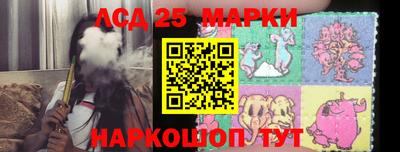индика Обь