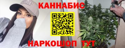 индика Обь