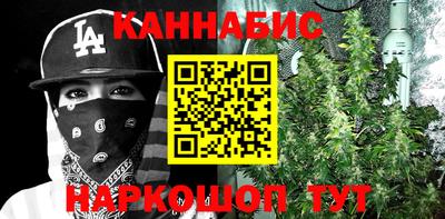 индика Обь