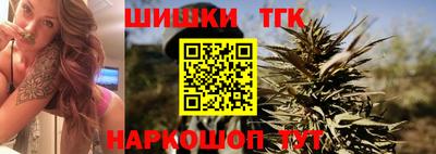 индика Обь