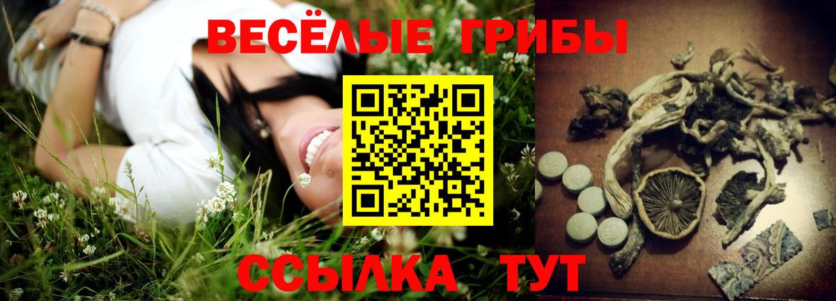 Псилоцибиновые грибы MAGIC MUSHROOMS Партизанск